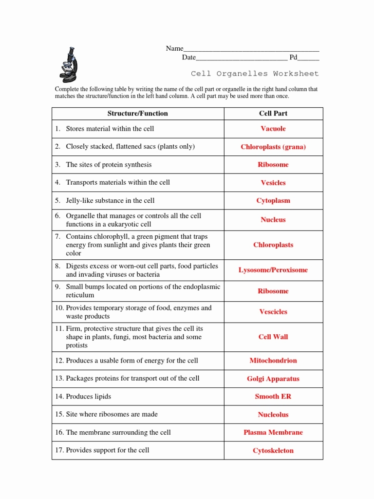 Cell Parts And Functions Worksheet Answers â Worksheets Samples